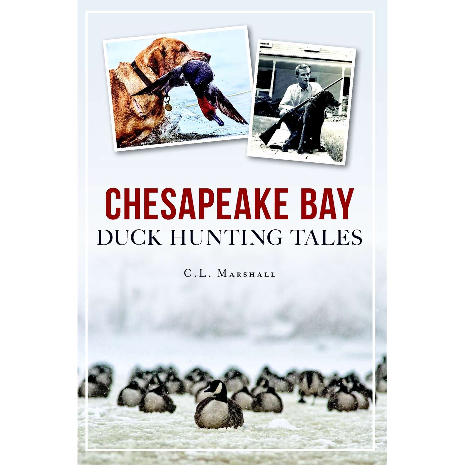 Arcadia Publishing Chesapeake Bay Duck Hunting Tales History Book Ace