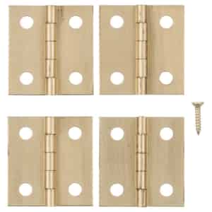 Canet Hinges - Kitchen Canet Door Hinges at Ace Hardware