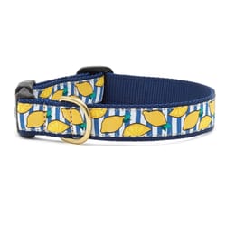 Up Country Multicolored Make Lemonade Nylon Dog Collar X-Large