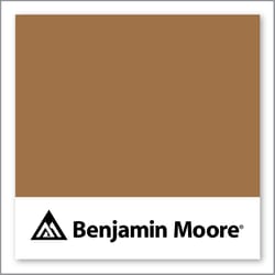 Benjamin Moore Tawny 2161-20