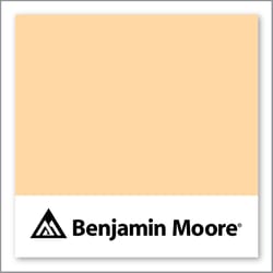 Benjamin Moore Melon Popsicle 2016-50