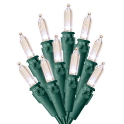 Battery Operated Lights - 20 Multicolor Battery Operated 5mm LED Christmas  Lights, Green Wire