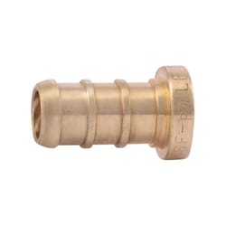 SharkBite 3/8 in. PEX X 3/8 in. D PEX Brass Plug