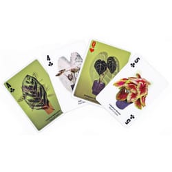 Kikkerland 3D Plant Plant Cards 52 pc