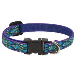 Lupine Pet Original Designs Multicolor Rain Song Nylon Dog Adjustable Collar