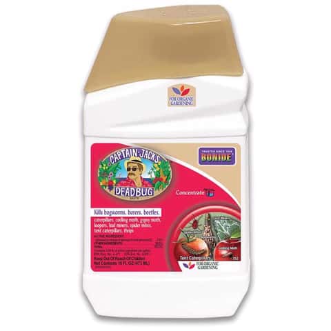 Bonide Captain Jacks Deadbug Brew Organic Liquid Concentrate Insect Killer 16 oz