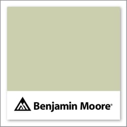 Benjamin Moore Maidenhair Fern 500