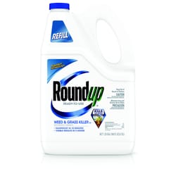 Weed Grass Killer Weed Control Vegetation Killer At Ace Hardware