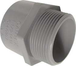 Cantex 1/2 in. D PVC Male Terminal Adapter For PVC 1 each