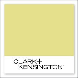 Clark+Kensington Lime Green Bloom 25D-3