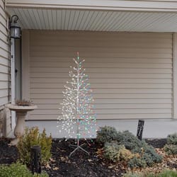 Celebrations LED Multi Birch 5.5 ft. Yard Decor