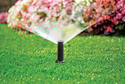 Rain Bird 1800 Series Full-Circle Drip Irrigation Micro Spray 1 gph