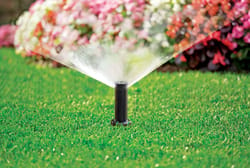 Rain Bird 1800 Series Full-Circle Drip Irrigation Micro Spray 1 gph 1 pk