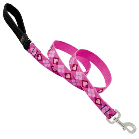 LupinePet Original Designs Multicolor Puppy Love Nylon Dog Leash