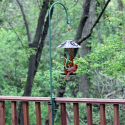 1.25 in. D Adjustable Rail Bird Feeder Hook