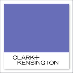 Clark+Kensington Rock Star 39D-4