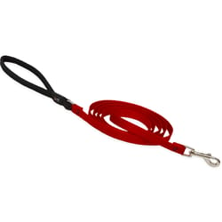LupinePet Basic Solids Red Red Nylon Dog Leash