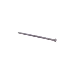 Grip-Rite 10 in. Spike Hot-Dipped Galvanized Steel Nail Flat Head 50 lb