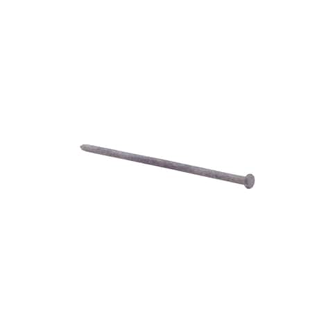 Ace 10 in. Spike Hot-Dipped Galvanized Steel Nail Diamond Head 5 lb