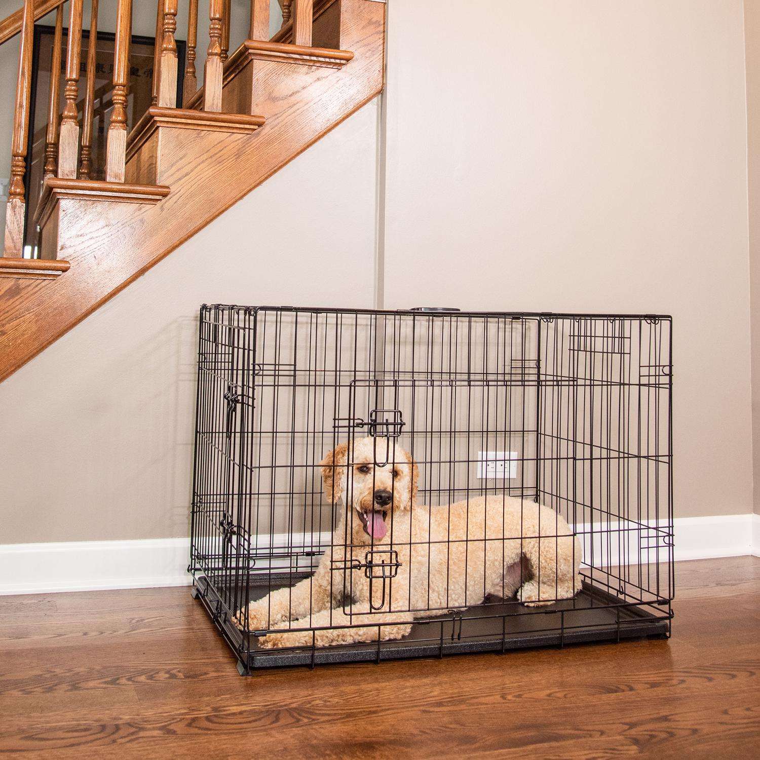 Pet Essentials Wire Dog Crate Large 3.5-ft L x 3.36-ft W x 2.5-ft H in the  Crates & Kennels department at
