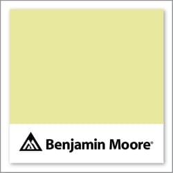 Benjamin Moore Hibiscus 2027-50