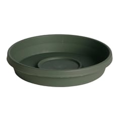 Bloem Terratray 2.5 in. H X 13 in. D Resin Traditional Tray Thyme Green Bloem Terratray 2.5 in. H X 13 in. D Resin Traditional Tray Thyme Green