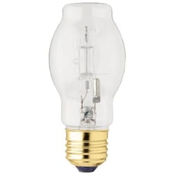 Westinghouse Eco 43 W BT15 Decorative Halogen Bulb 750 lm Bright White 1 pk