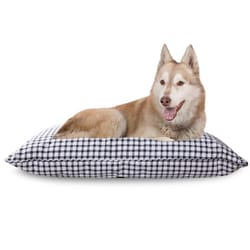 Pet Shop by Fringe Studio Multicolored Canvas Painted Gingham Pet Bed Pillow