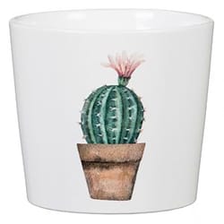 Scheurich Carlos 3.5 in. D Ceramic Cactus Garden Flower Pot Multicolored