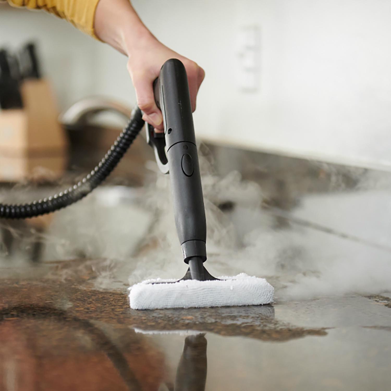 Wagner Black/Yellow Plastic/Steel Power Steamer