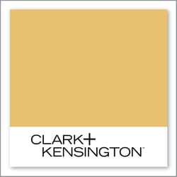 Clark+Kensington Amber Fields 20B-5