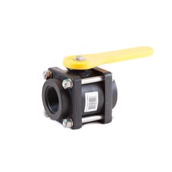 Pacer Camelot 2 in. Polypropylene FNPT Ball Valve Full Port Lever