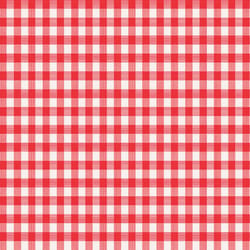 Magic Cover Red/White Checkered Vinyl Disposable Tablecloth 52 in. 52 in.