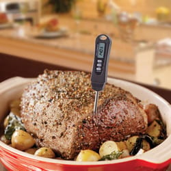 Mr. Bar-B-Q Digital Grill and Meat Thermometer