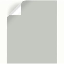 Magnolia Home by Joanna Gaines  Wedding Band  Peel & Stick Color Sample  MAG019 