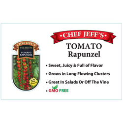 Chef Jeff Red  Premium Rapunzel Tomato Vegetable Plant