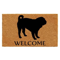 Calloway Mills 2 ft. W X 3 ft. L Black/Brown Coir Door Mat