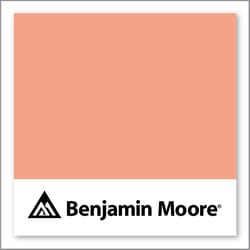 Benjamin Moore Peach Cobbler 2169-40