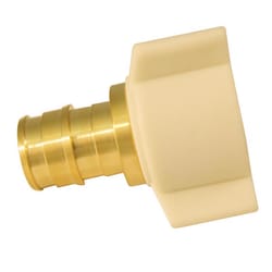 Apollo Expansion PEX / Pex A 1/2 in. Expansion PEX in to X 1/2 in. D FPT Brass Female Adapter