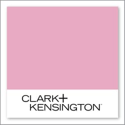 Clark+Kensington Pink Plumeria 03D-3