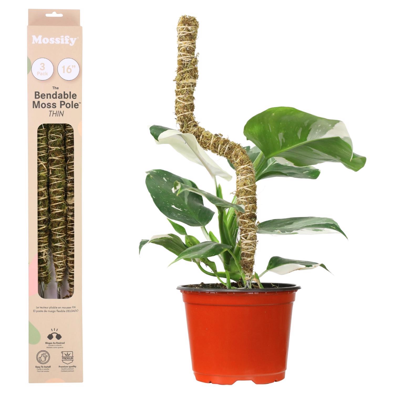 【新品未使用】MOSS STICK SW50 24-25 Steel Sphagnum Moss Pole, 24”, Handmade – Plant Loving J