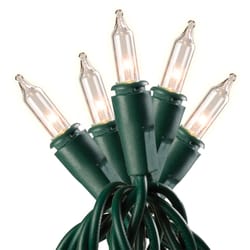 Celebrations Stay Shine Incandescent Mini Clear/Warm White 100 ct String Christmas Lights 33 ft.