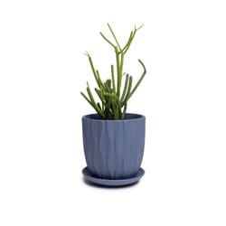 Chive Virago 5 in. D Ceramic Shape E Flower Pot Blue Grey