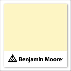 Benjamin Moore Light Yellow 2022-60