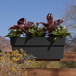 Bloem Finley 9.5 in. H X 11.74 in. W X 24 in. D Plastic Deck Rail Planter Black