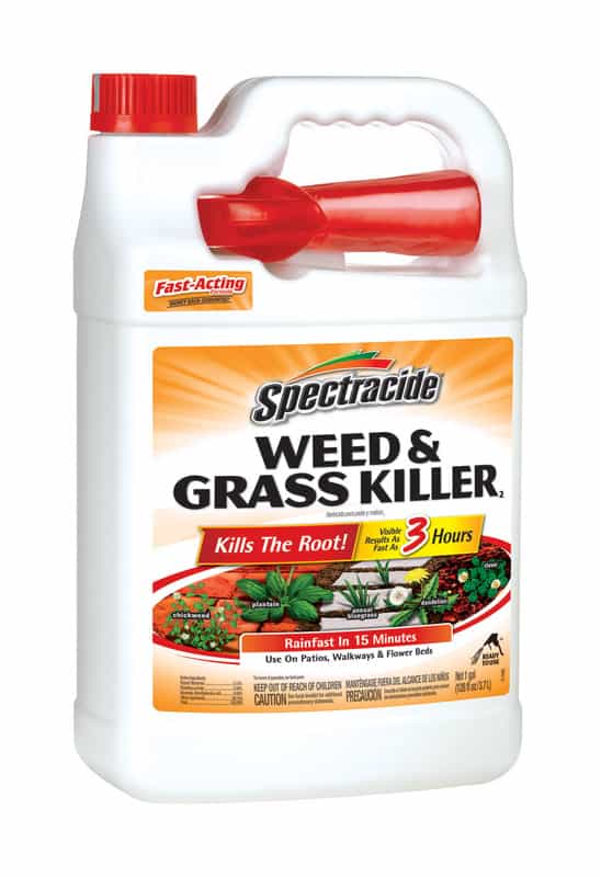 Spectracide RTU Liquid Weed and Grass Killer 1 gal. Ace Hardware