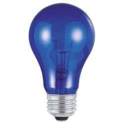Westinghouse 25 W A19 A-Line Incandescent Bulb E26 (Medium) Blue 1 pk