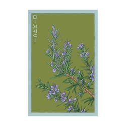Chive Shido Seed Co Rosemary Herb Seeds 1 pk