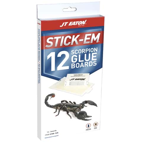 Scorpion Master Glue Board 1 pk Scorpion Master Glue Board 1 pk