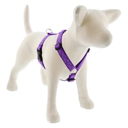 LupinePet Original Designs Multicolored Jelly Roll Nylon Dog Harness